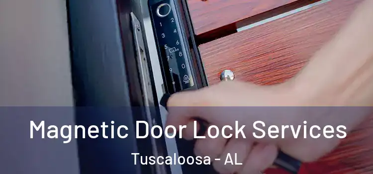 Magnetic Door Lock Services Tuscaloosa - AL